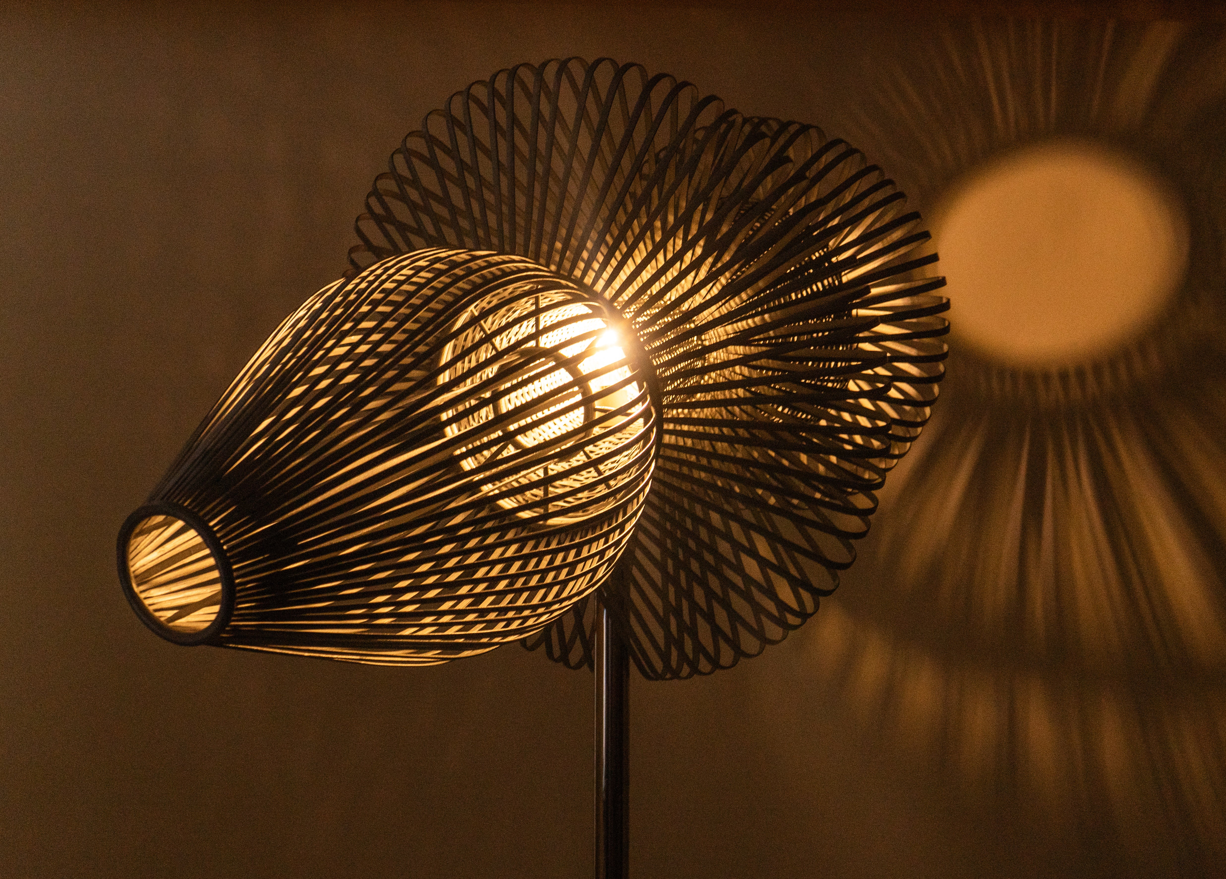 The Flux Lamp